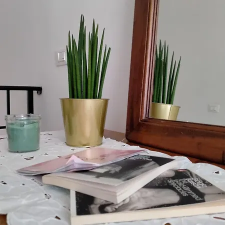 Paneolio Poggio Picenze