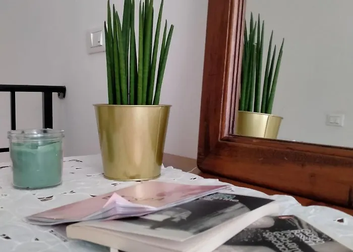 Paneolio Poggio Picenze